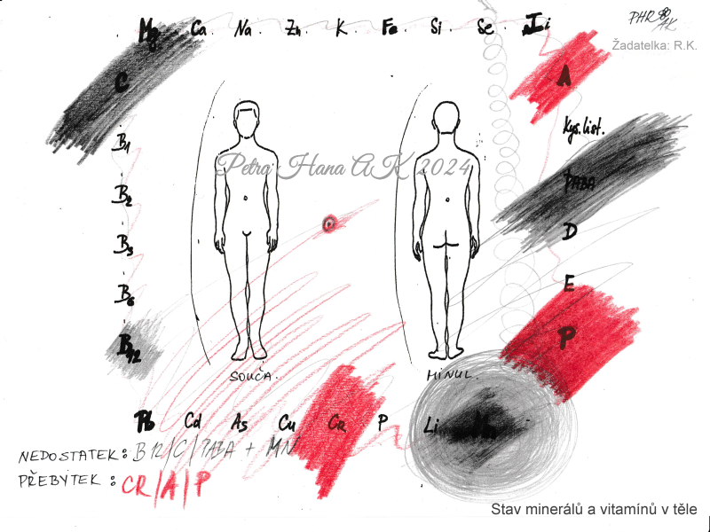 Automatická kresba - hladina vitamínů a minerálů v těle