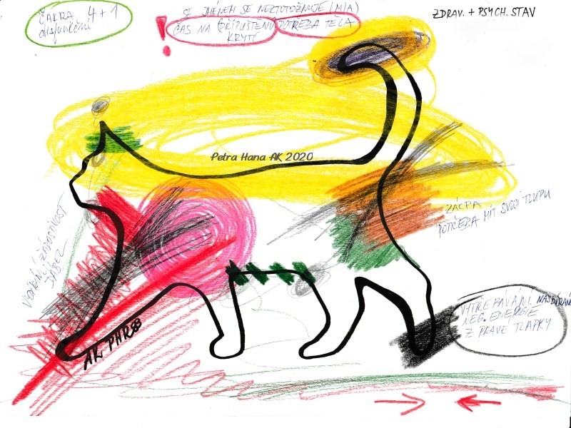 Automatická kresba - zdravotní a psychický stav kočky