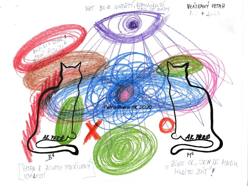 Automatická kresba - vzájemný vztah dvou koček v domácnosti