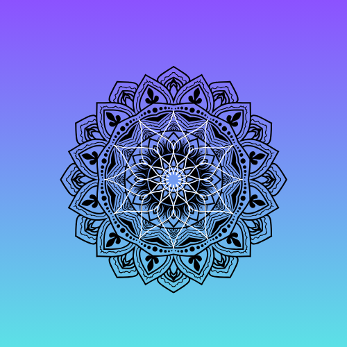 Úvodní obrázek - Různé fotografie