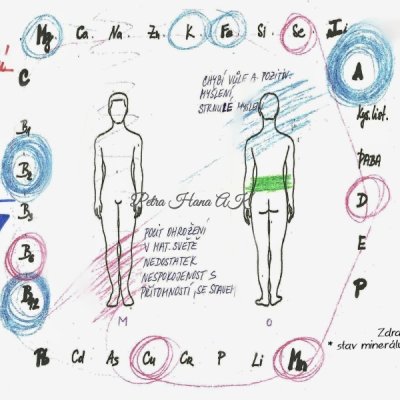 01 Stav minerálů a vitamínů v těle, žena (Nabídka AK Zdraví)