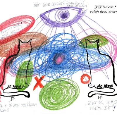 02 Zvířátko, vztah dvou koček v jedné domácnosti (Nabídka AK Další)