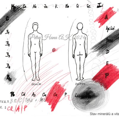 02 Stav minerálů a vitamínů v těle, žena 45+ (Nabídka AK Zdraví)