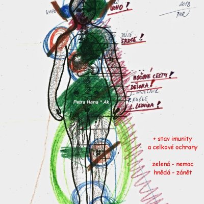 02 Diagnostika celého těla, žena 50+ (Nabídka AK Zdraví)