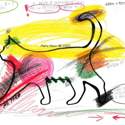 01 Zvířátko, starší kocour (Nabídka AK Další)